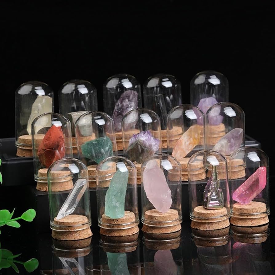 Amazon.co.jp: Apaeofl25個鉱石標本 鉱物標本 岩石標本 天然石